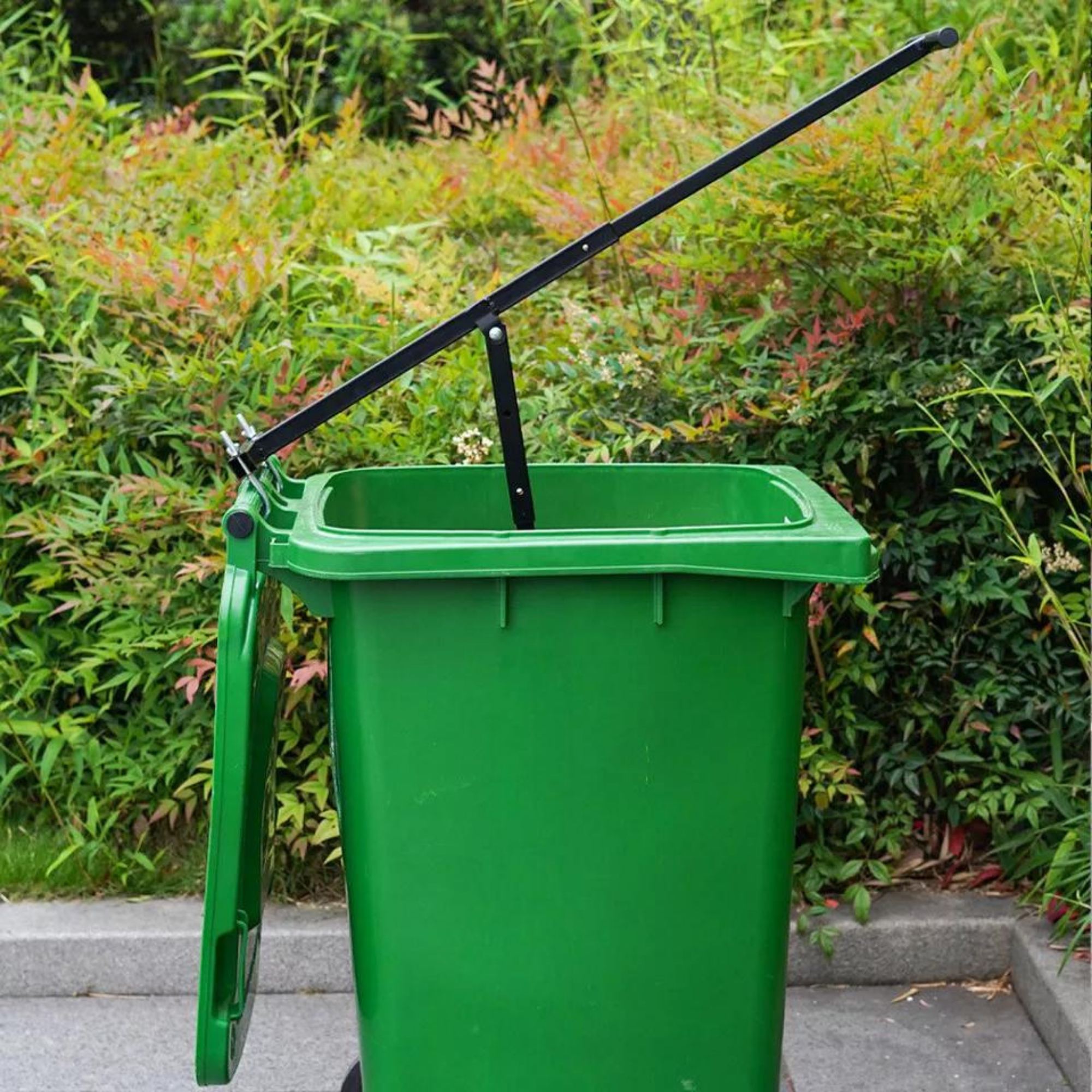 Image 3