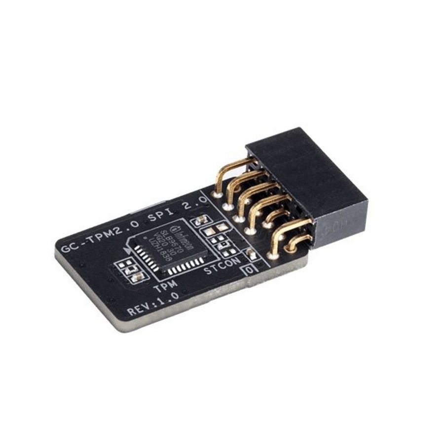 Buy Gigabyte GC-TPM2.0 SPI 2.0 1.0 Module with SPI interface for Intel ...