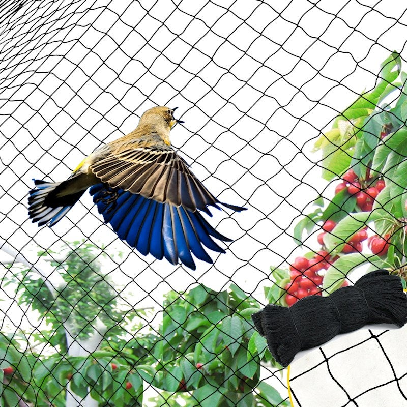 Commercial Fruit Tree Plant Knitted Anti Bird Netting 5x10m