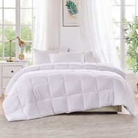 Dreamz Bamboo Quilts Microfibre Winter Summer All Season Duvet Soft Doona 400GSM