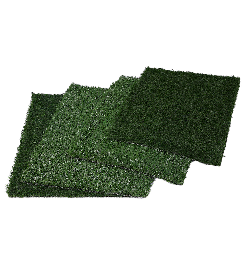 Image 13