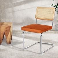 Levede a set of 2 Replica Cesca Rattan Dining Chairs - Green, Brown, Natural