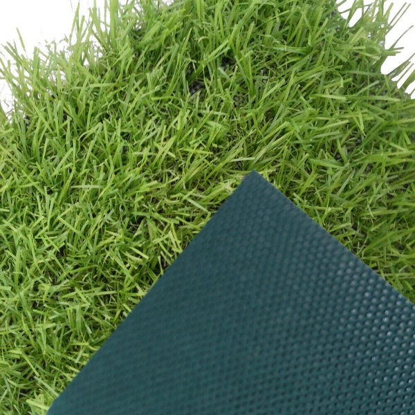 Image 9