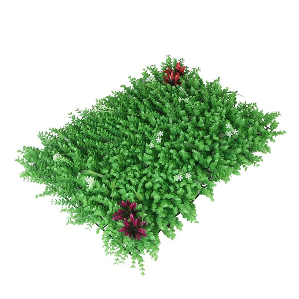 Image 17