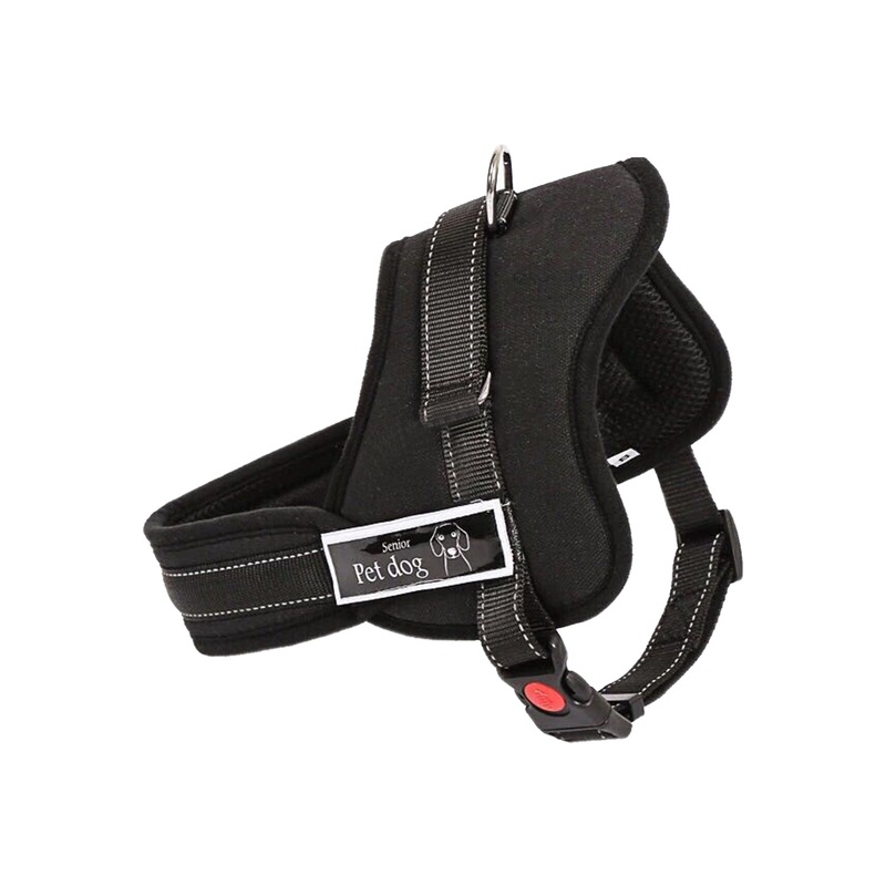 Buy PaWz Dog Harness Adjustable Large No Pull Cloth Training Collar ...