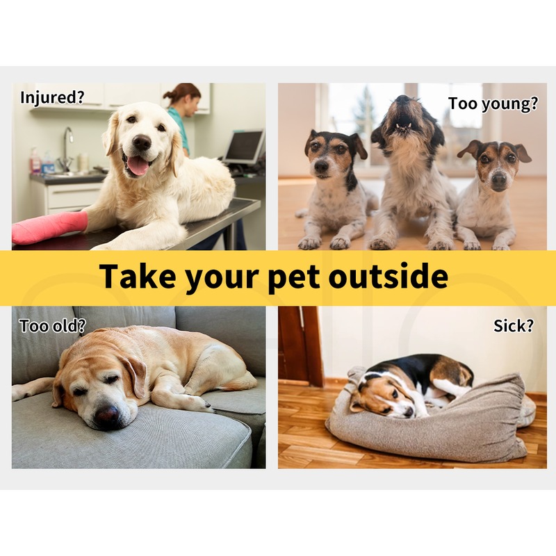 PaWz 4Wheeler Pet Pram Buy Fabric Crates & Carriers 1455580