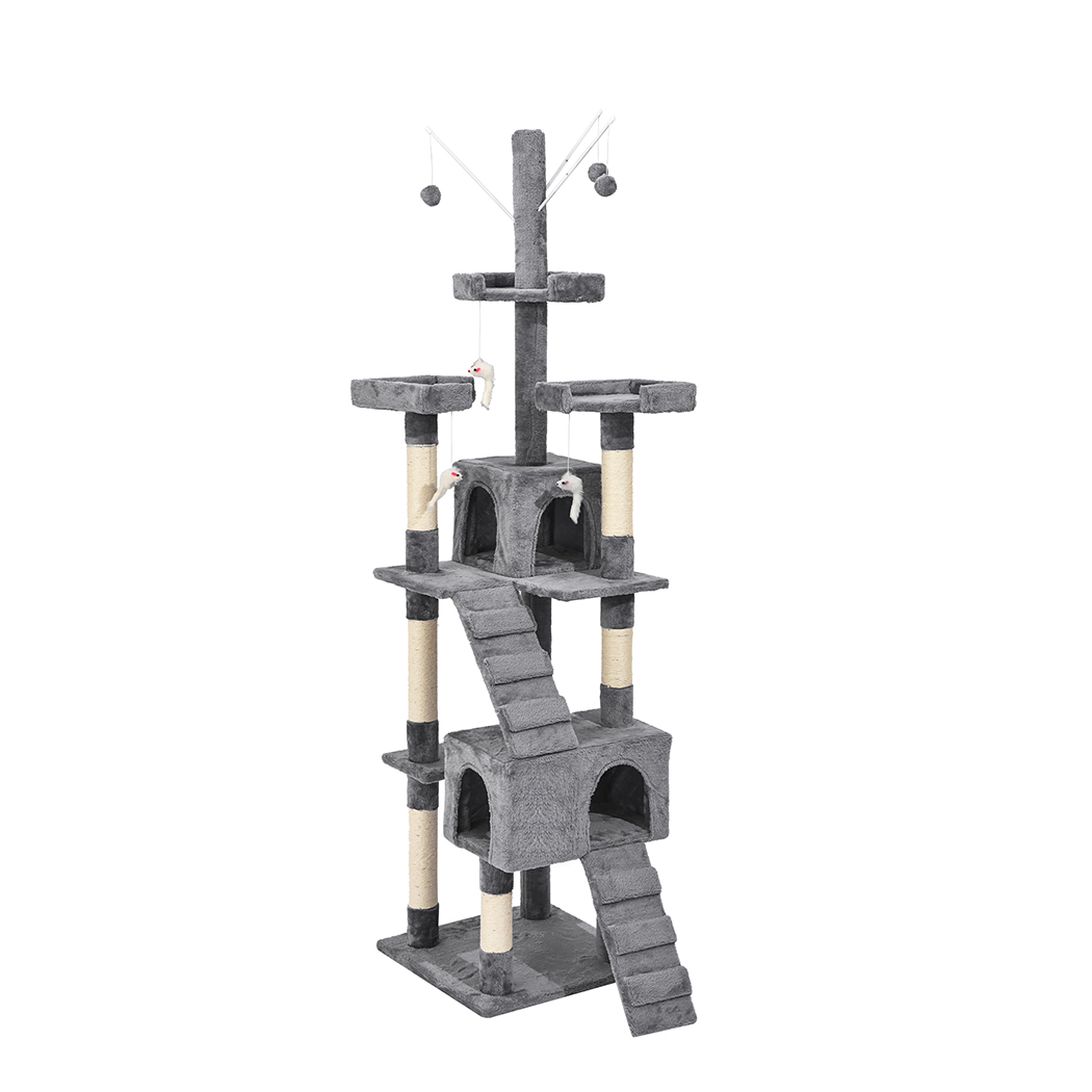 Image 10