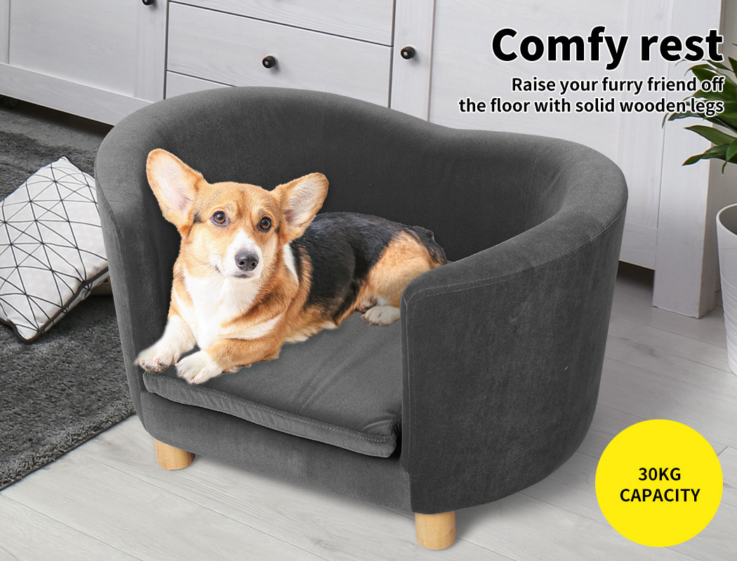 Dog Off How To Get Your Dog To Sleep In Your Room How To Keep Dogs