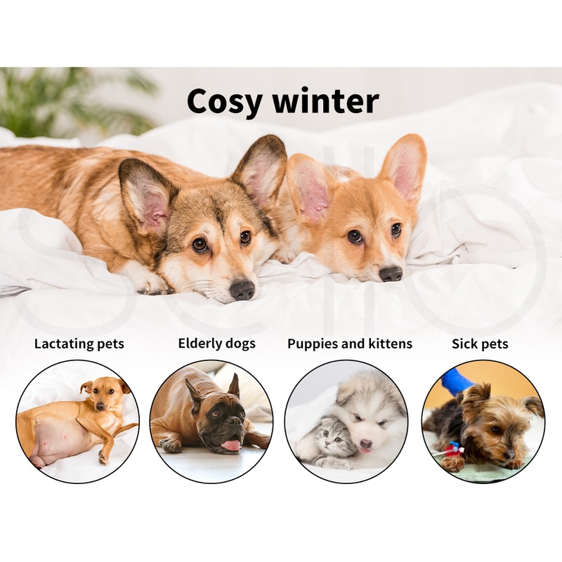 Buy Pawz Electric Pet Heater Bed Heated Mat Cat Dog Heat Blanket