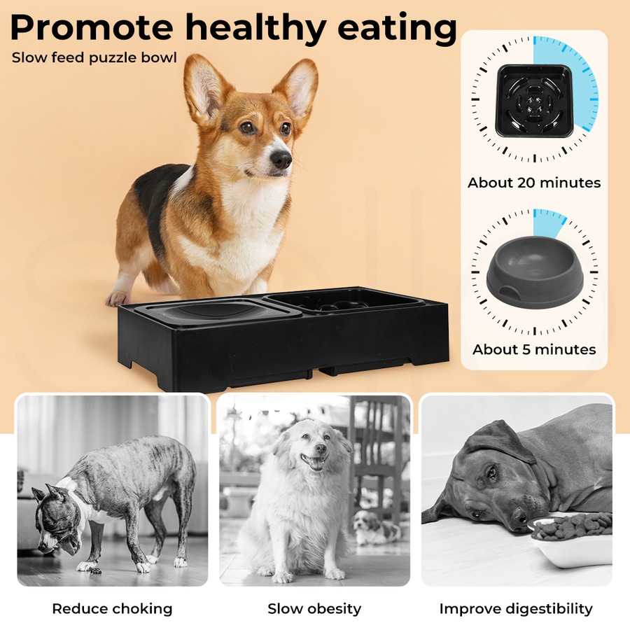 Pawz Elevated Pet Feeder 4 Height Adjustable Raised Dog Cat Slow Food Water Bowl