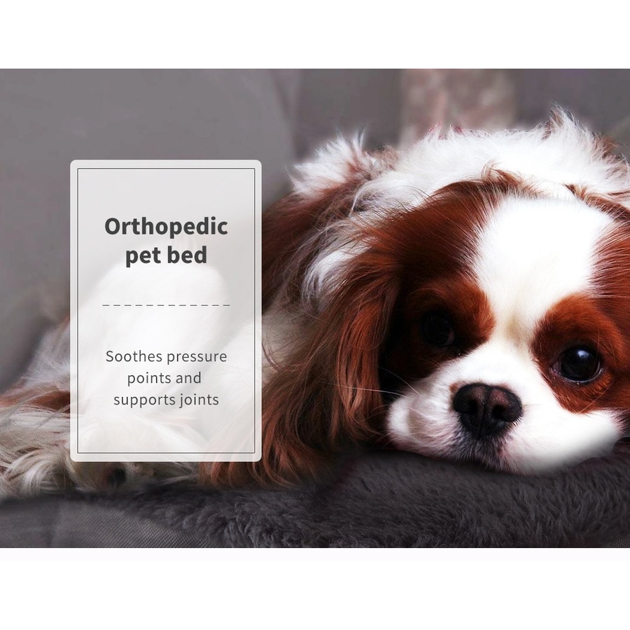 Pawz Pet Bed Foldable Dog Puppy Beds Cushion Pad Pads Soft Plush Black M