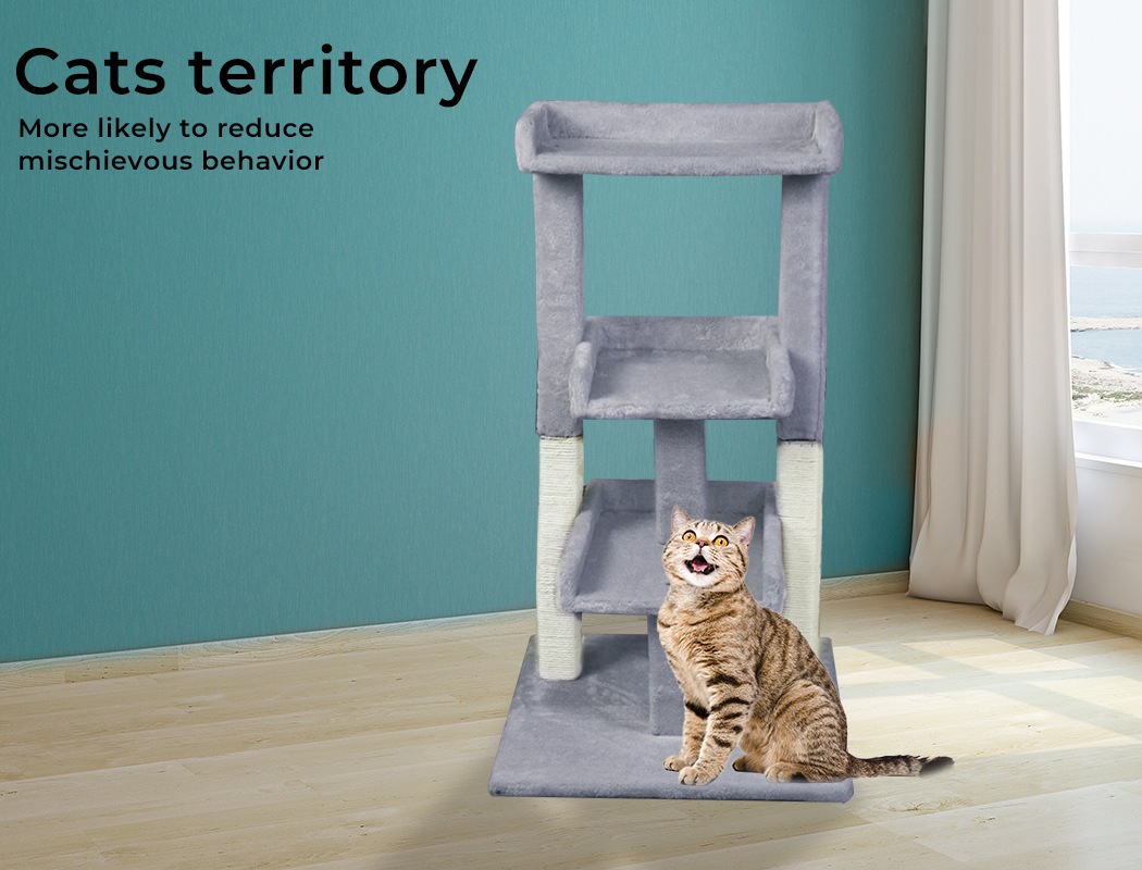 cats pole