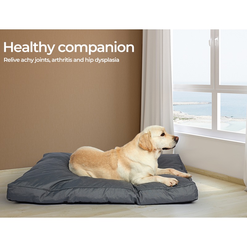 Buy PaWz Pet Bed Dog Memory Foam Mattress Orthopedic Removable Washable