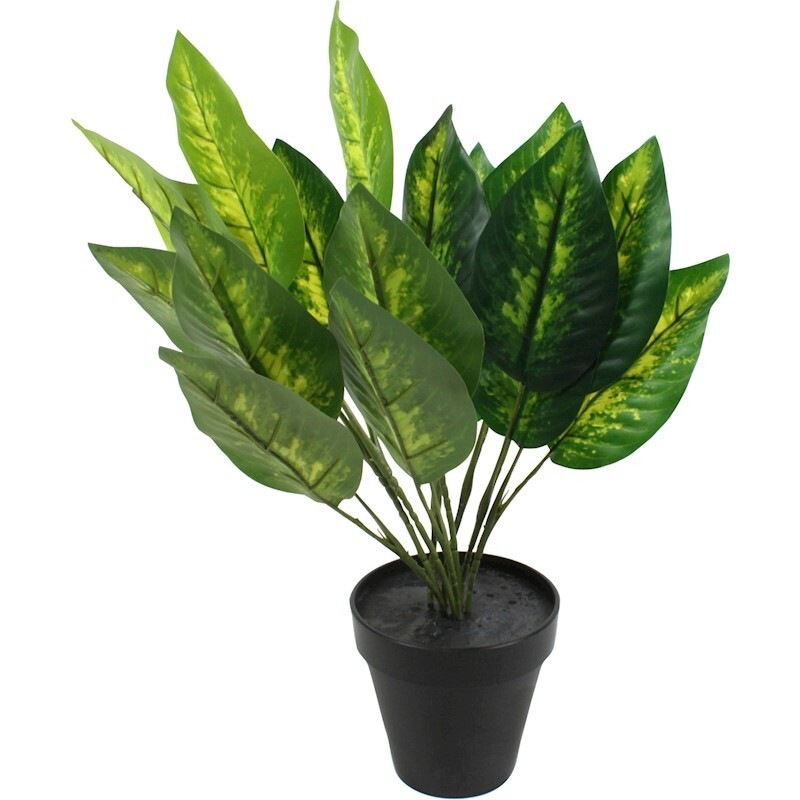 Buy Artificial Dieffenbachia Plant Potted MyDeal