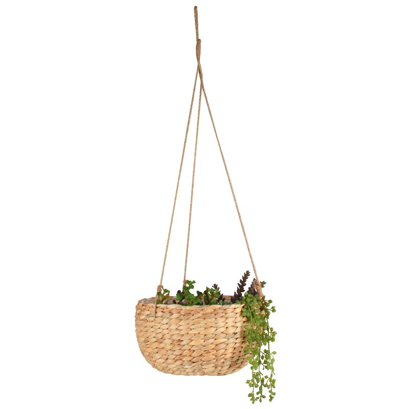 Buy Hanging Basket Water Hyacinth 23x12cm MyDeal