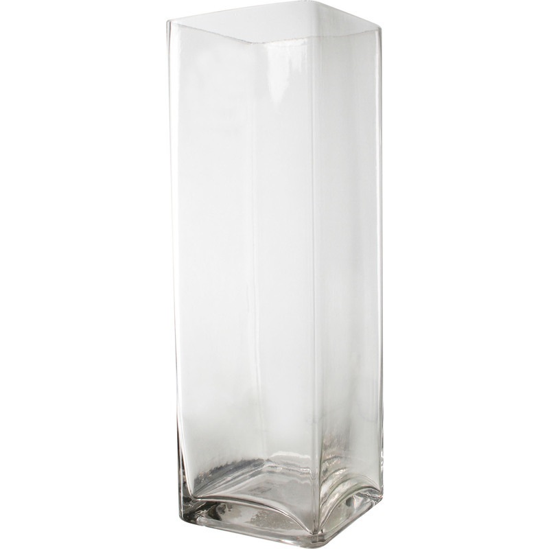 Buy Rectangle Tall Glass Vase MyDeal