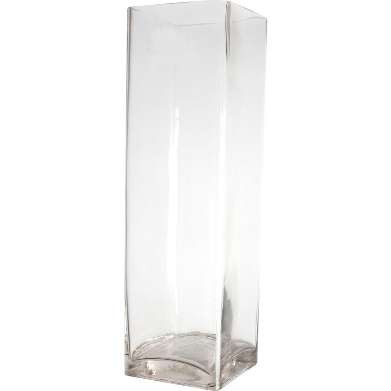 Buy Rectangle Tall Glass Vase MyDeal