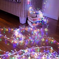 1000 LED Copper Wire Centipede Fairy Light
