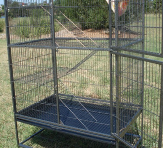 Image 4