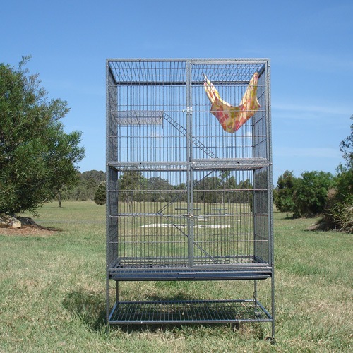 Image 5