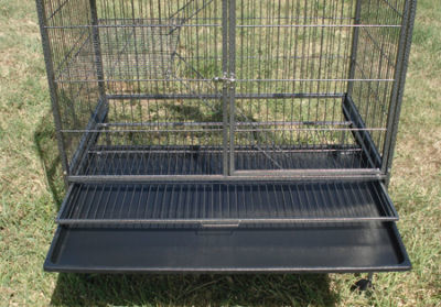 Image 7