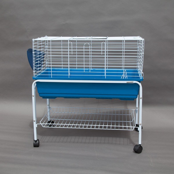 Image 2