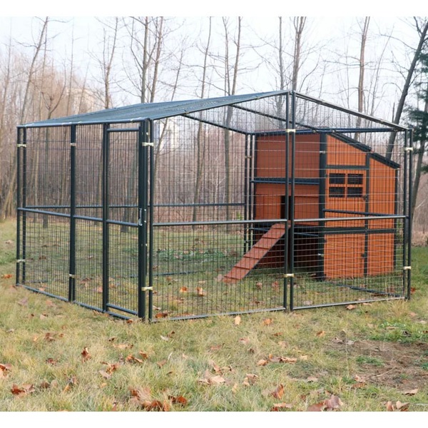Image 8