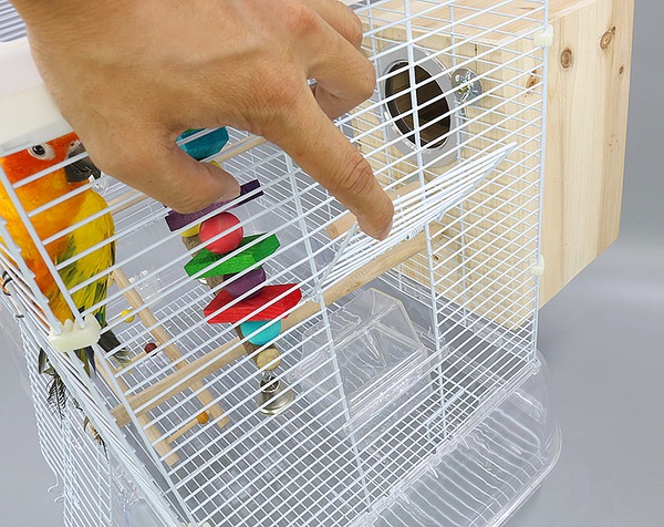 Image 9
