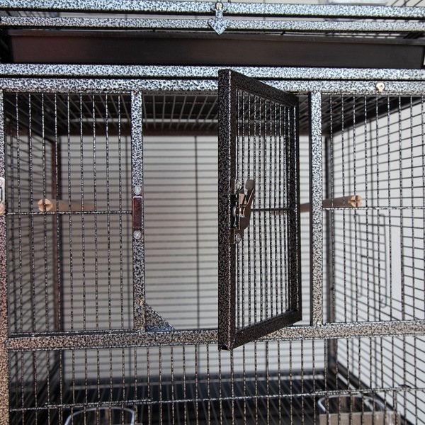 Image 6