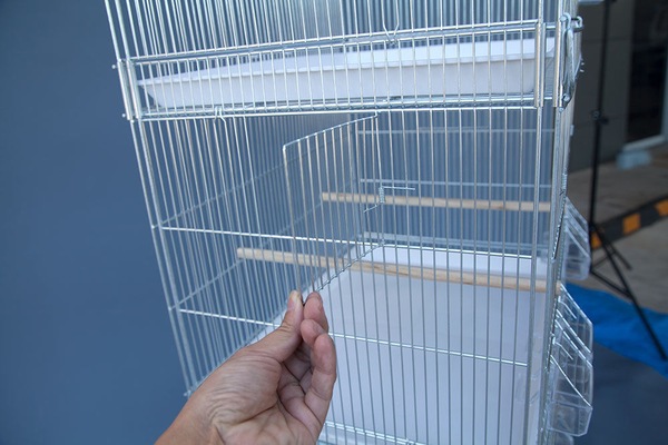 Image 4