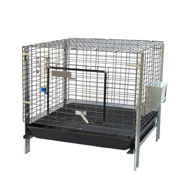 Image 1