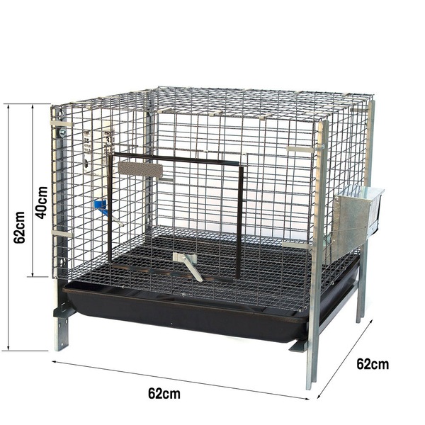 Image 7