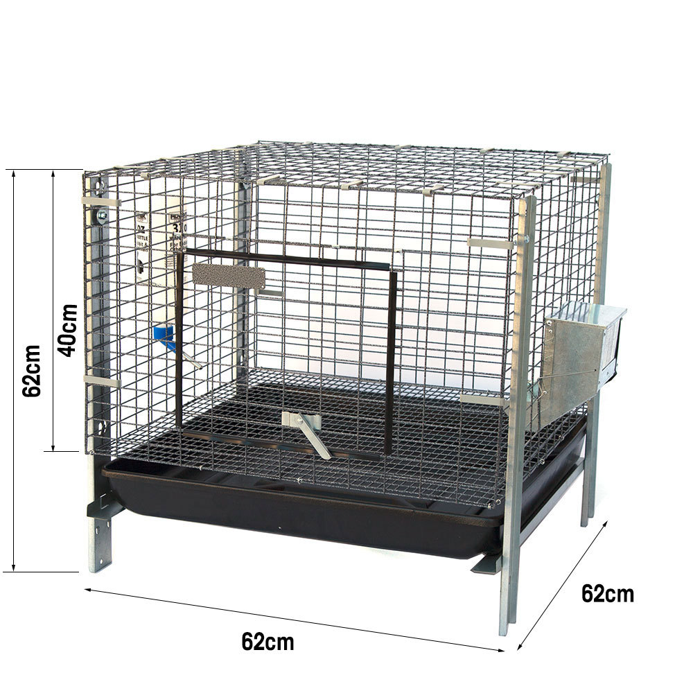 Image 7