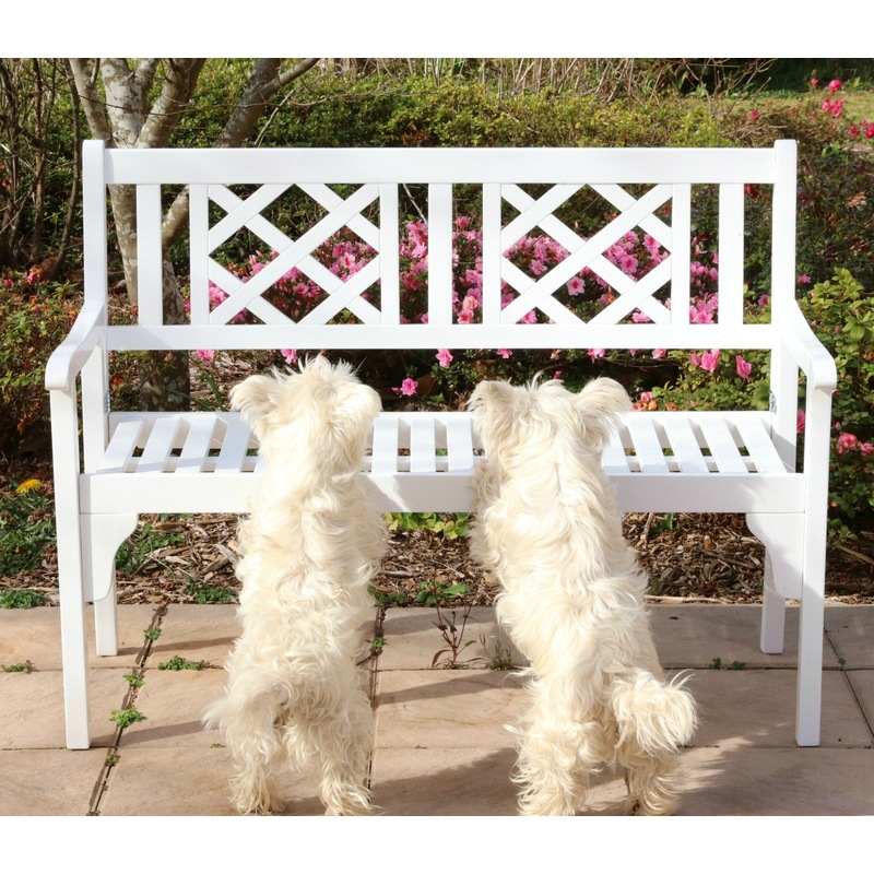 Buy Outdoor Hardwood Timber Garden Bench 2 Seater White MyDeal