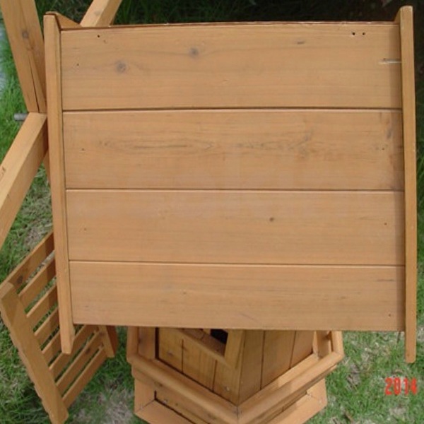 Image 7
