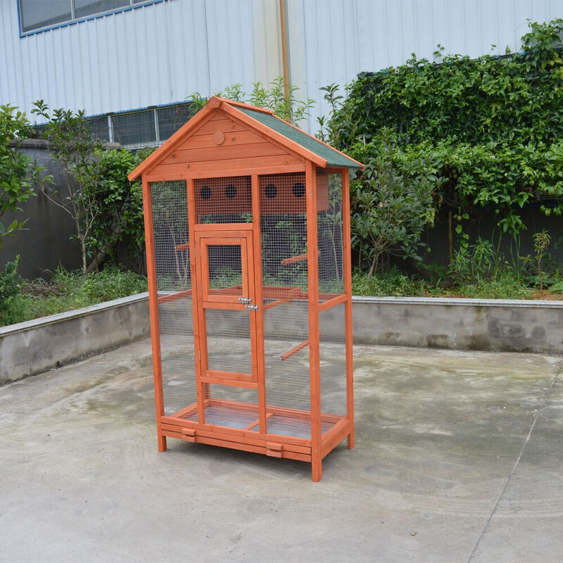 Image showcasing Amazon.com: Large Parrot Bird Bath