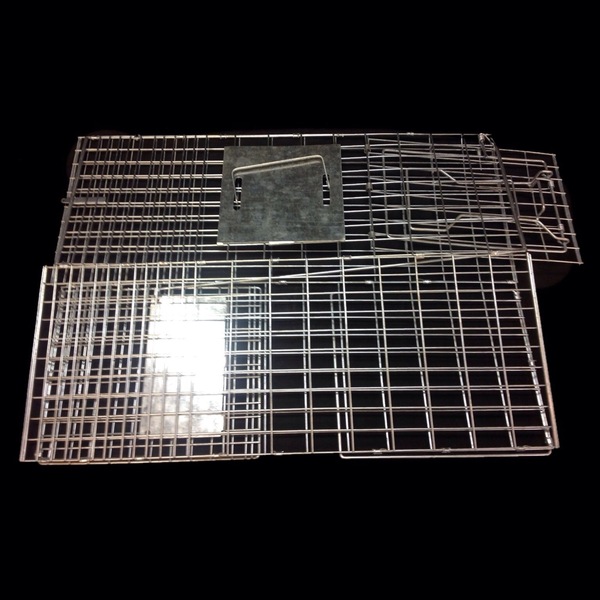 Image 2