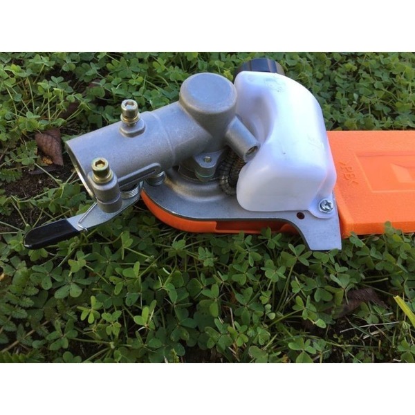 Image 11