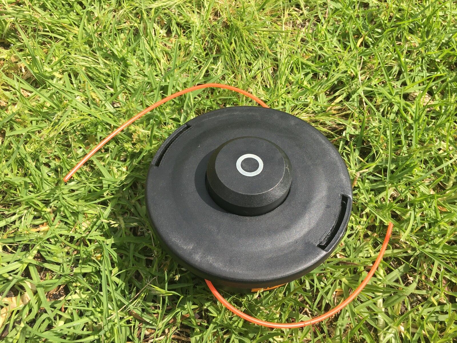 Image 2