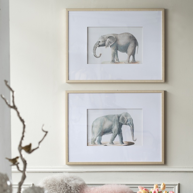 Ying Yang Elephant Wall Art Set Of 2 Buy Posters