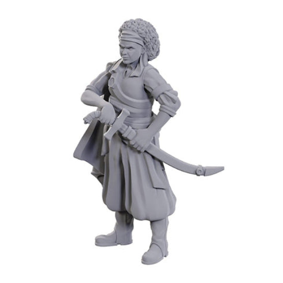D&D Nolzur's Marvelous Unpainted Miniatures: Ansalon Human Rogue