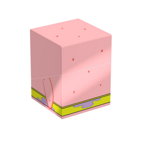 Image 4