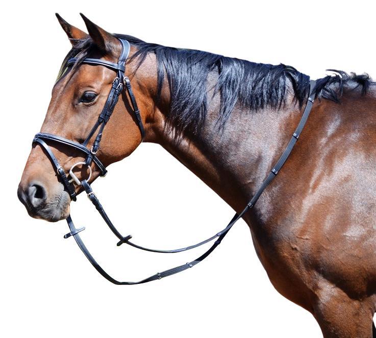 RUMANI Horse Leather BRIDLE & ANTISLIP REINS With Raised Noseband & Browband