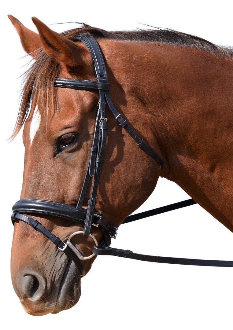 RUMANI Horse Leather HANOVERIAN BRIDLE & REINS Raised Padded Browband & Noseband