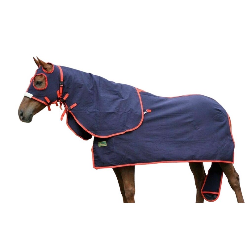 Buy Rumani Pure Cotton Drill SUMMER MINIATURE HORSE SHOW RUG SET Navy