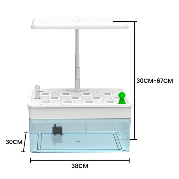 Image 6