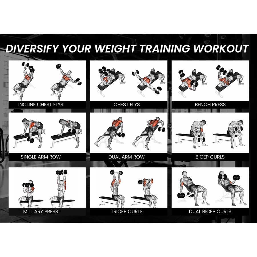 PROFLEX Weight Bench Adjustable Workout Bench Press Home Gym Exercise Equipment