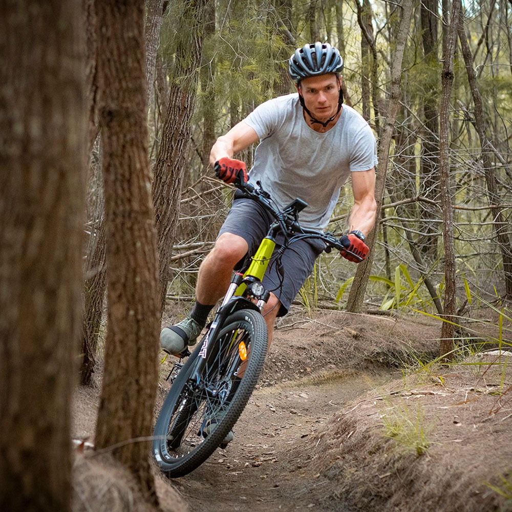 Bike TEKTRO MAXXIS VELO eMTB mtb eBike 