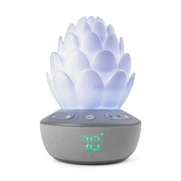 Skip Hop Terra Cry Activated Succulent Glow Soother - Grey White