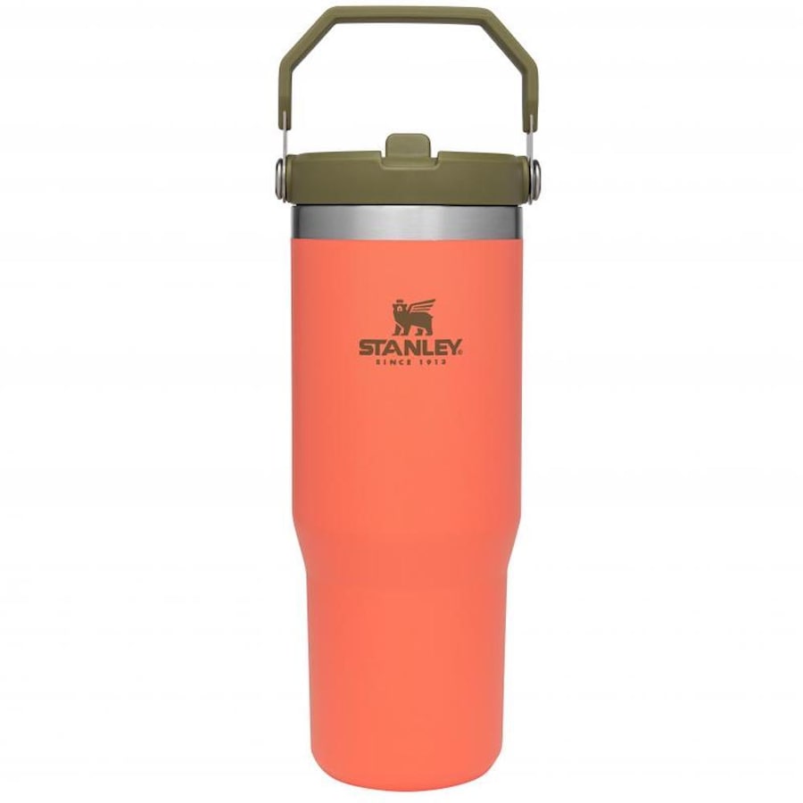 Stanley 30oz / 0.89L The IceFlow Flip Straw Tumbler - Guava